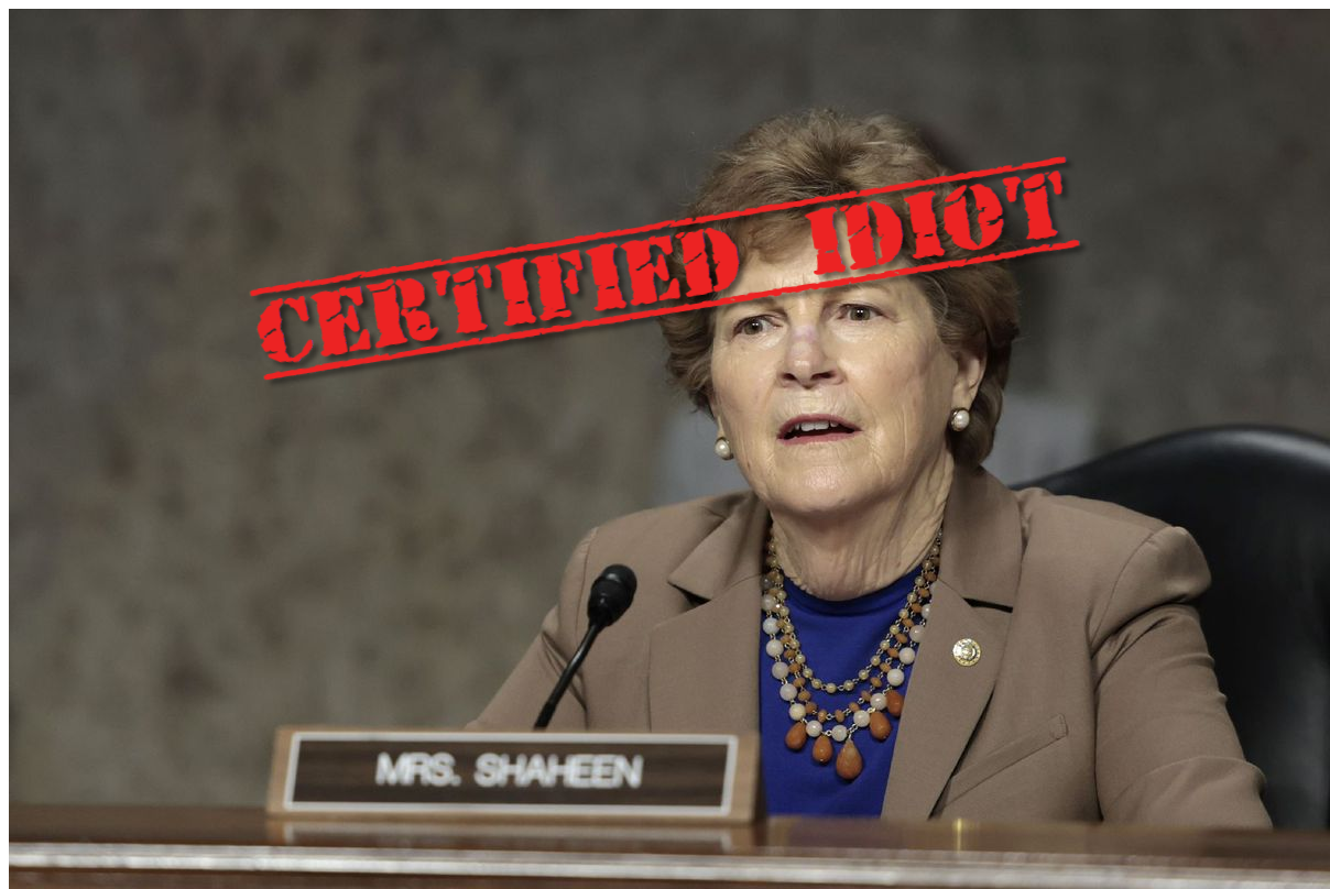 Senator Shaheen is an idiot