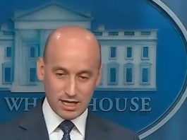 Stephen Miller Reams The Terrorist-Loving Press A New A**hole