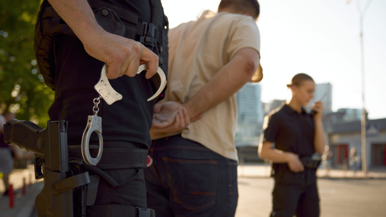 Ice Arresting Illegals