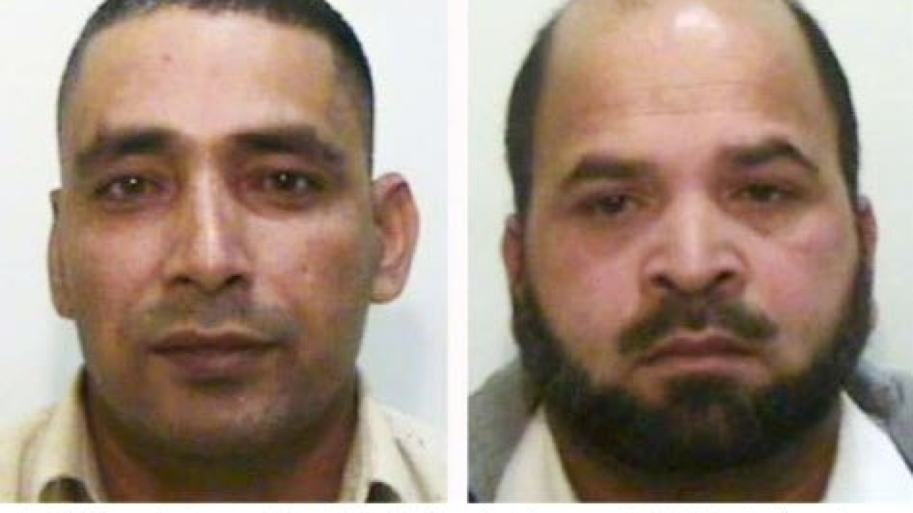 grooming gang